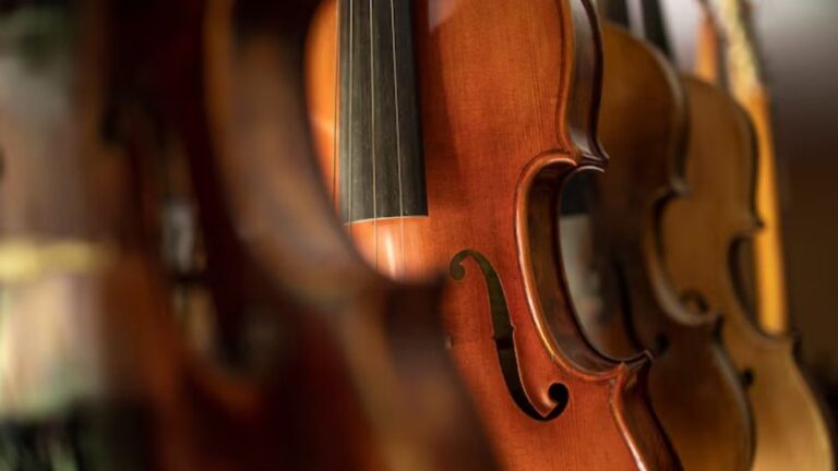 Recital de Formatura: Viola