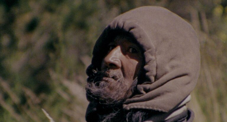 Cine Bibi/O grande movimento